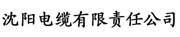 y9000p2023鲁大师电缆厂logo